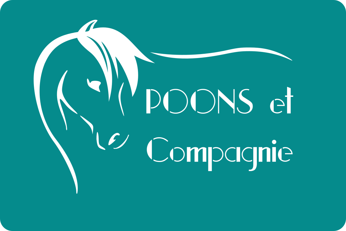 Logo fond bleu