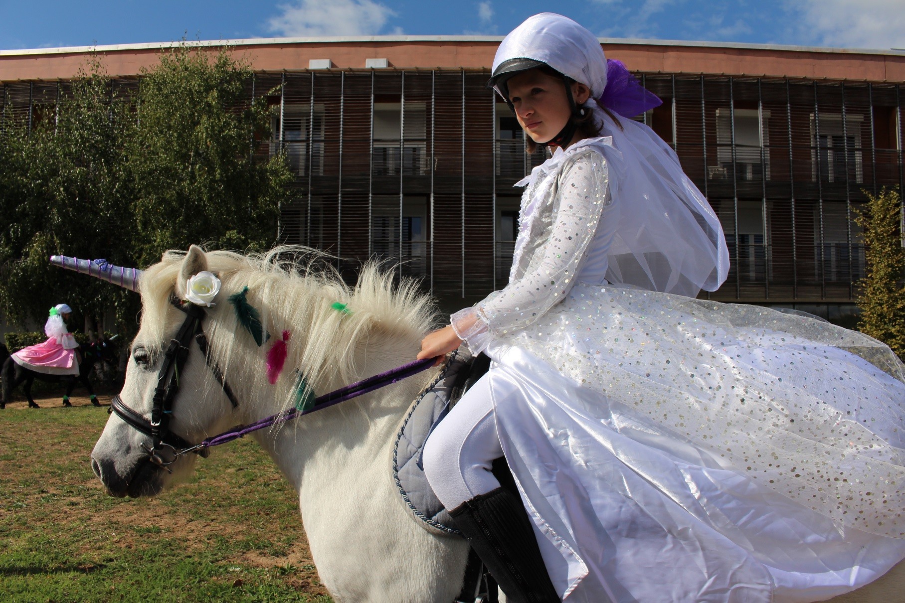 Princesses et fées 2017